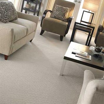 Low pile pattern carpet in living room