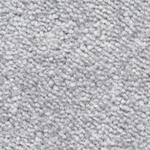 Carpet installers