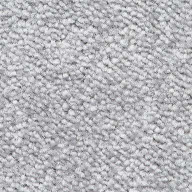 Carpet installers